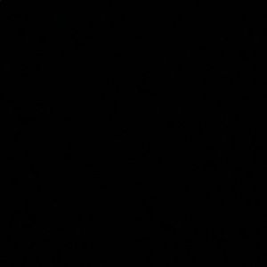 Meet your Posher, Raynn